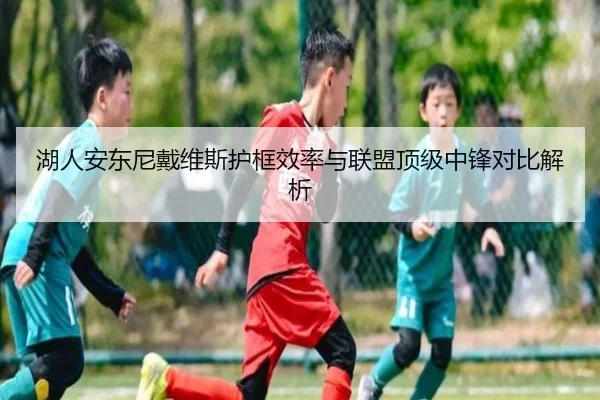湖人安东尼戴维斯护框效率与联盟顶级中锋对比解析