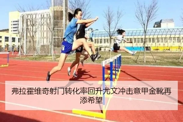弗拉霍维奇射门转化率回升尤文冲击意甲金靴再添希望